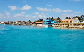 Divi Flamingo Beach Resort & Casino Bonaire